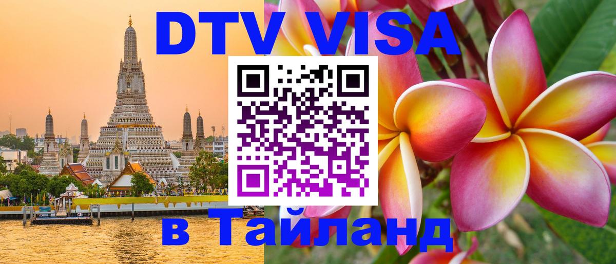 Сколько стоит DTV виза — актуальные цены, оформление даже без документов - Волгоград  28.11.2025 